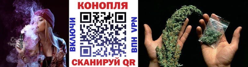 купить   Королёв  Бошки Шишки OG Kush 